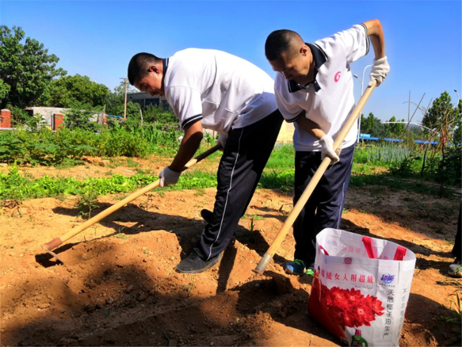 市特教中心舉行“展學(xué)藝、慶黨建”活動(dòng)